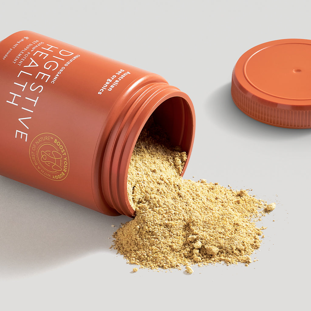 Digestive Health Supplement