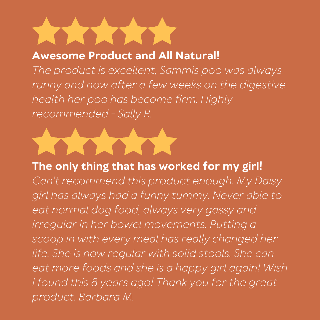 Digestive Health Supplement